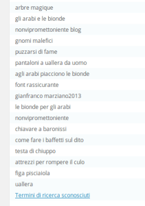 termini di ricerca blog